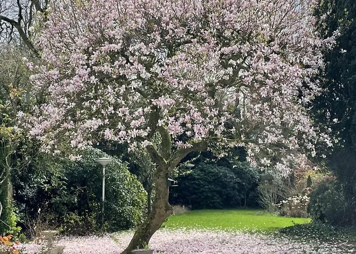 Frühstückspension By Genck 3*